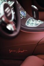 Bugatti Veyron 16.4 Grand Sport by Bernar Venet 2012 года